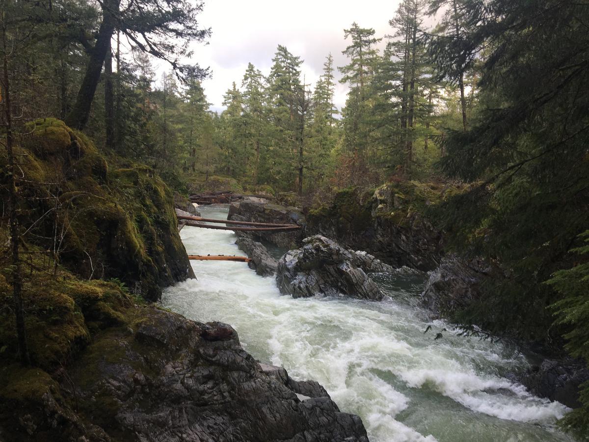 Ashling Cottage Qualicum Beach Bagian luar foto