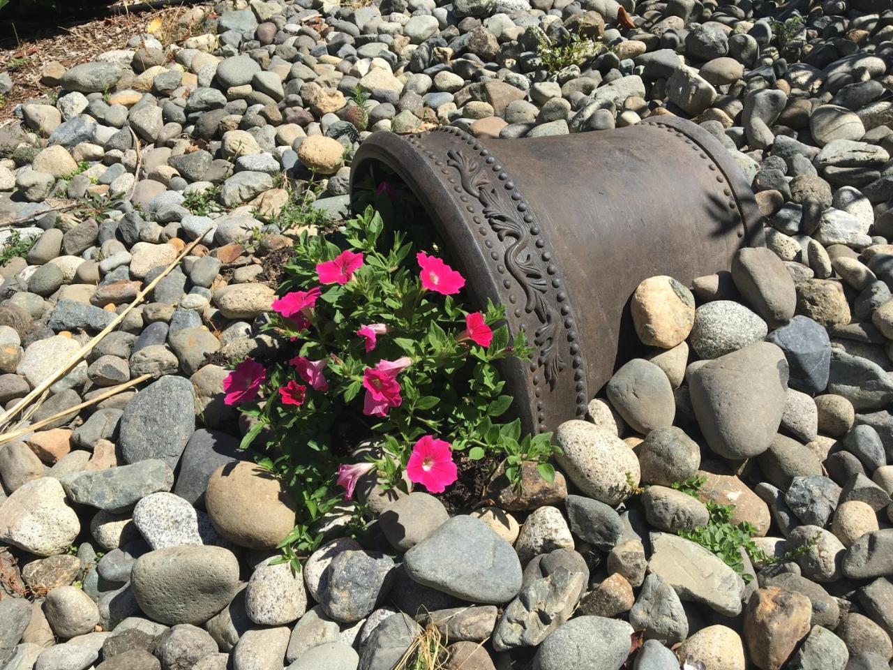 Ashling Cottage Qualicum Beach Bagian luar foto